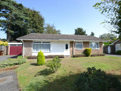 3 Bedroom Detached Bungalow For Sale In Headley, Hampshire