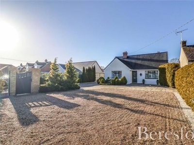 4 Bedroom Bungalow For Sale In Cressing