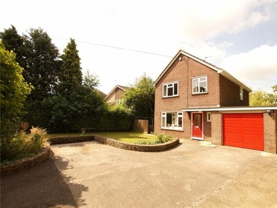 4 Bedroom Detached House For Sale In Blandford Forum, Dorset