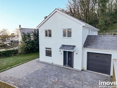 4 Bedroom Detached House For Sale In Paignton