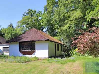 Detached bungalow to rent in Drovers Cottage, Stradbroke Drive, Chigwell IG7
