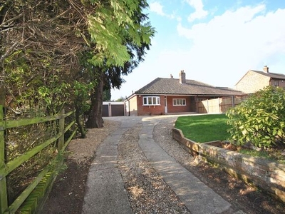Semi-detached bungalow to rent in Sandy Lane, Taverham, Norwich NR8