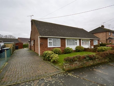 Semi-detached bungalow to rent in Stubbs Lane, Braintree CM7