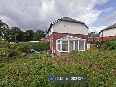 Semi-detached house to rent in St. Peters Avenue, Sowerby Bridge HX6
