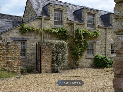 Semi-detached house to rent in Sycamore Grove, Oundle PE8