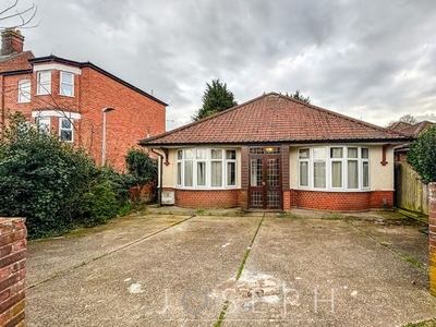 Detached bungalow to rent in Gippeswyk Avenue, Ipswich IP2