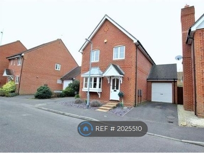 Detached house to rent in Maltings Park Road, West Bergholt, Colchester CO6