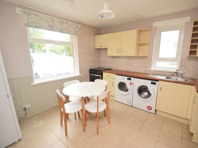 Semi-detached house to rent in Western Place, Penryn TR10