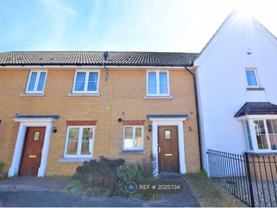 Terraced house to rent in Juniper Road, Red Lodge, Bury St. Edmunds IP28