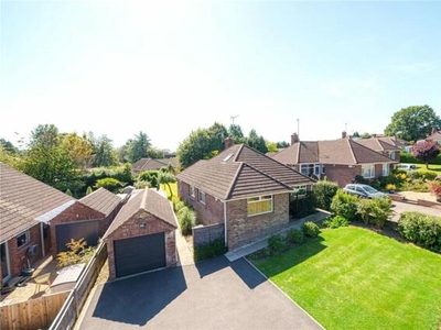 4 Bedroom Bungalow For Sale In Four Marks, Hampshire