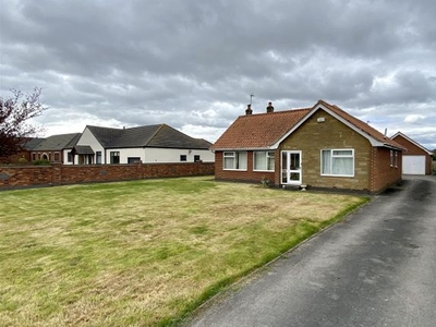 Detached bungalow to rent in Newland, Goole DN14