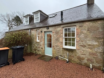 Semi-detached house to rent in Crowmallie, Pitcaple, Inverurie AB51