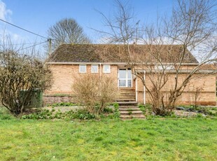 3 Bed Bungalow To Rent in Church Hill, East Ilsley, RG20 - 514