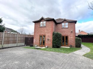 4 Bed House To Rent in Wokingham Road, Hurst Nr Twyford, RG10 - 690