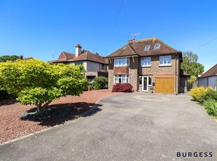 Detached house for sale in Collington Avenue, Bexhill-On-Sea TN39