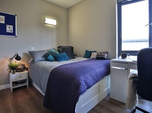 Room in a Shared Flat, Castle Street, EX4