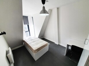 Room in a Shared Flat, Greyfriars Ln, CV1