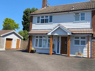 Spalding Way, Chelmsford - 4 bedroom detached house