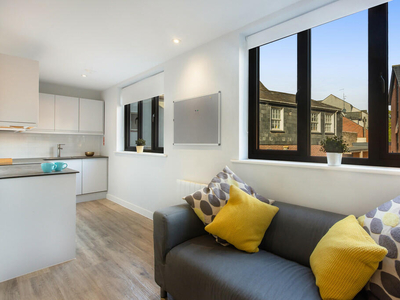 Studio flat for rent in Premium Apartments - The LEAT, EX4