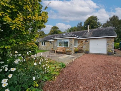 Detached bungalow for sale in Otterburn, Newcastle Upon Tyne NE19