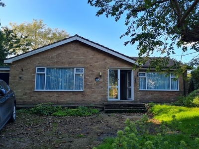 Detached bungalow to rent in Barkwith Road, South Willingham LN8