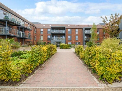 2 Bedroom Shared Living/roommate Alresford Hampshire