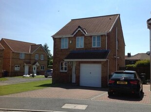 Detached house for sale in Holm Hill Gardens, Peterlee, County Durham SR8