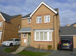 Detached house to rent in Shorelark Way, Bude EX23