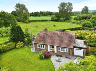 Bungalow for sale in West Felton, Oswestry, Shropshire SY11