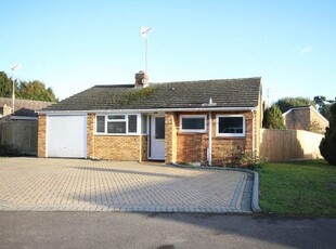 Bungalow to rent in Hermitage Drive, Twyford, Reading, Berkshire RG10