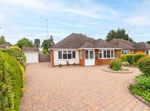 Detached bungalow to rent in Grove Park, Tring HP23