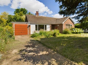 Detached bungalow to rent in Low Street, Oakley, Diss IP21