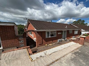Detached bungalow to rent in Rutherford Street, Exeter EX2