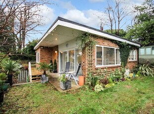 Detached bungalow to rent in Tower Hill, Dorking RH4