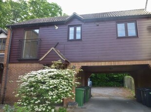 Detached house to rent in Gander Drive, Rooksdown, Basingstoke RG24
