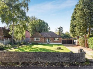 Detached house to rent in Kiln Ride Extension, Finchampstead RG40