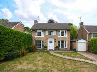 Detached house to rent in Woodland Drive, Hove, East Sussex BN3