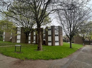 Flat to rent in Ellfield Court, Abington, Northampton NN3