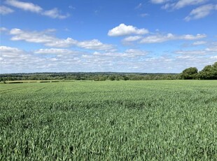 Land for sale in Abbey Turning, Beeleigh, Maldon, Essex CM9