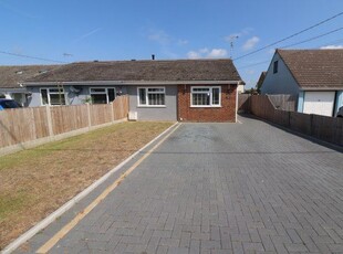 Semi-detached bungalow to rent in Wembley Avenue, Chelmsford CM3