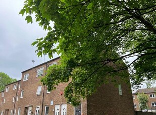 Terraced house to rent in Swanfield Street, London E2