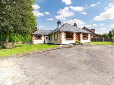 4 Bedroom Detached Bungalow For Sale In East Farleigh