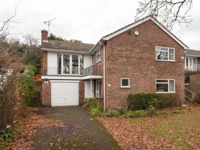 3 Bed House To Rent in Woodley, Reading, RG5 - 553