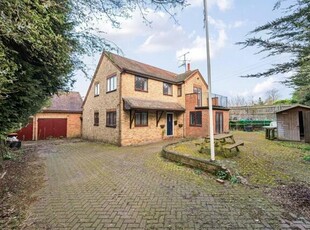 4 Bedroom House Luton Luton