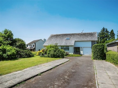 Bungalow for sale in Lampeter Road, Tregaron SY25
