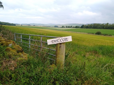 Land for sale in Land At The Coe, The Coe, Menmuir, Brechin, Scotland DD9