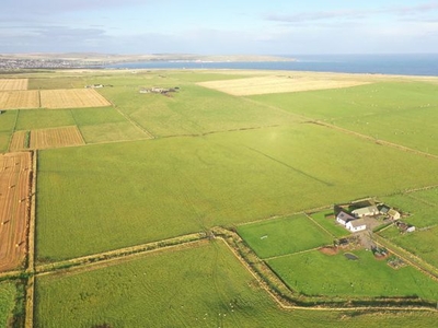 Land for sale in Land At Westburn Farm, Murkle, Thurso, Caithness KW14