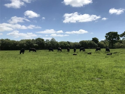 Land for sale in Lower End Town Farm, Lampeter Velfrey, Narberth, Pembrokeshire SA67