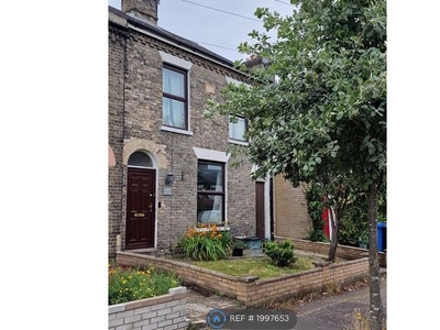 Terraced house to rent in Connaught Road, Norwich NR2