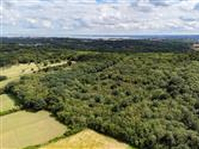116.4 acres, Chattenden Woods, Lodge Hill Lane, ME3 8NZ, Kent